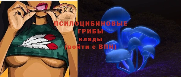 метадон Белокуриха