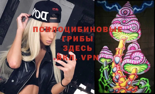 альфа пвп Беломорск
