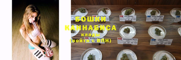 метадон Белокуриха