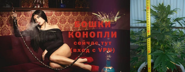 метадон Белокуриха